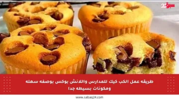 طريقة عمل الكب كيك للمدارس واللانش بوكس بوصفة سهلة ومكونات بسيطة جدا